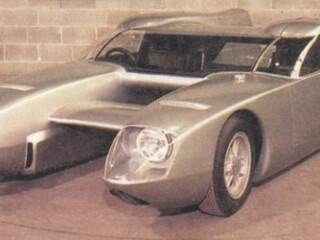 Alpine Silver Fox