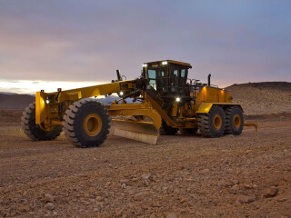 Caterpillar 24