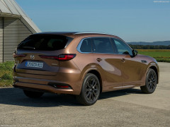 CX-80 photo #206848