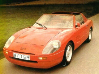 Bitter Rally WP