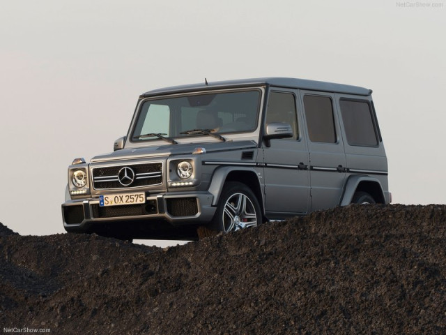 mercedes-benz g-class pic #100112