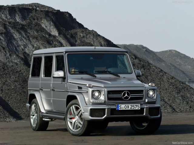 mercedes-benz g-class pic #100113