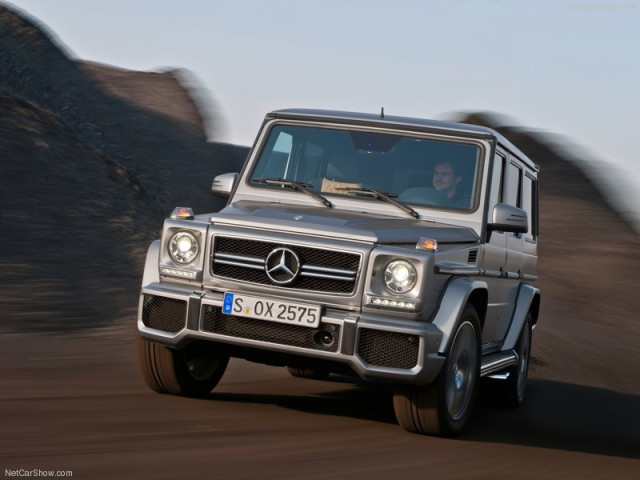 mercedes-benz g-class pic #100114