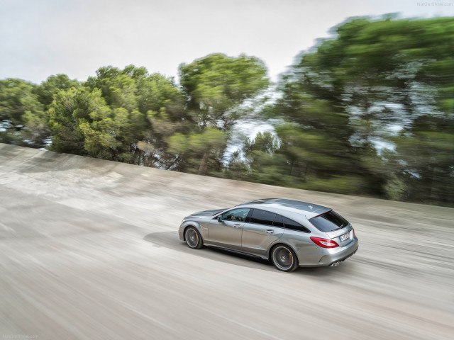 mercedes-benz cls63 amg shooting brake pic #125875