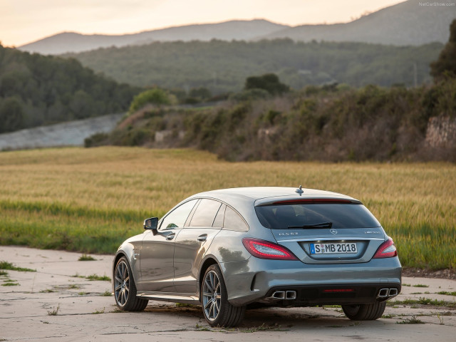 mercedes-benz cls63 amg shooting brake pic #125880