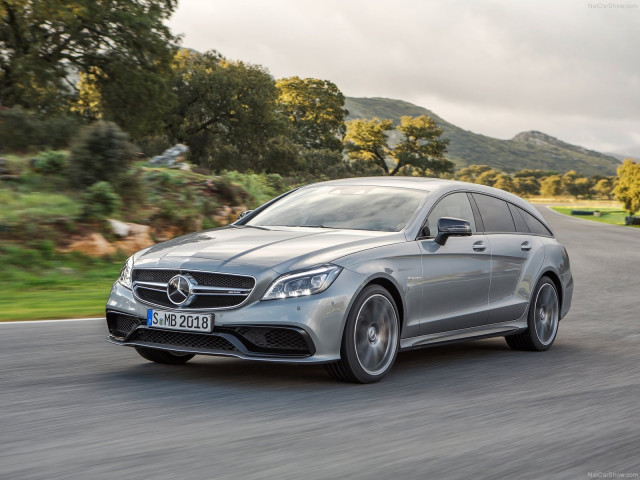 mercedes-benz cls63 amg shooting brake pic #125897