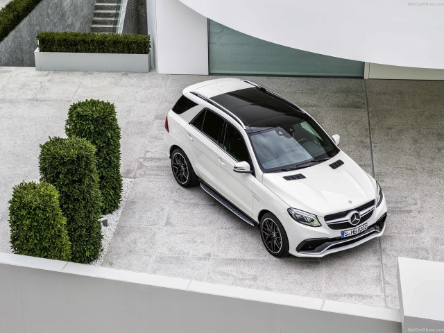 mercedes-benz gle 63 amg pic #138770