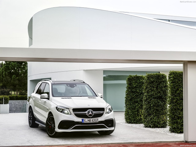 mercedes-benz gle 63 amg pic #138771