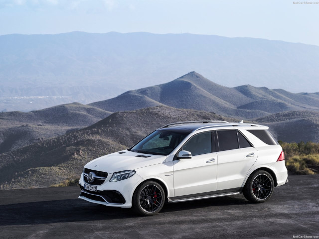 mercedes-benz gle 63 amg pic #138772