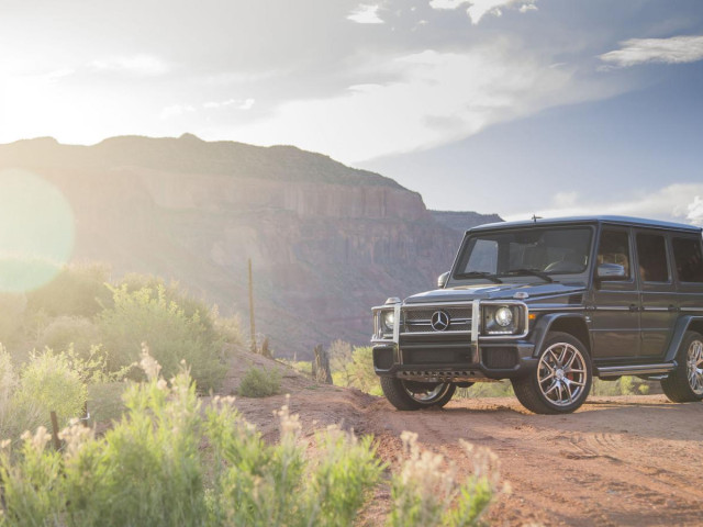 mercedes-benz amg g65 pic #163638