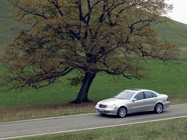 mercedes-benz e-class w211 pic #17093