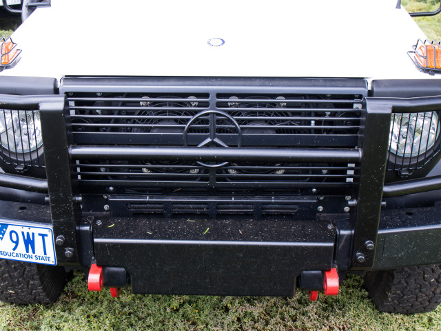 mercedes-benz g-professional pic #172117