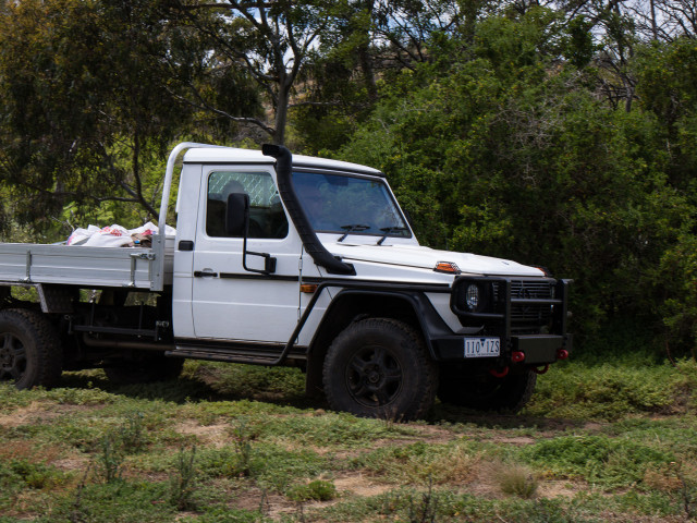 mercedes-benz g-professional pic #172119