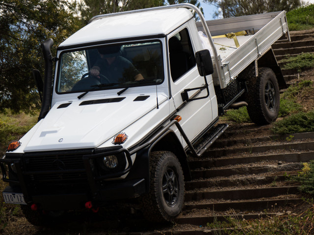 mercedes-benz g-professional pic #172132