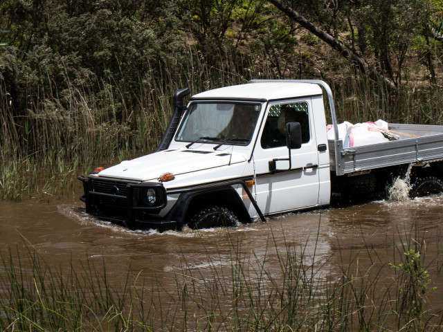 mercedes-benz g-professional pic #172137