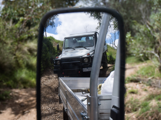 mercedes-benz g-professional pic #172138