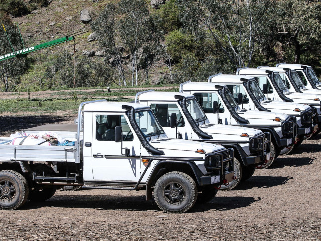 mercedes-benz g-professional pic #172147