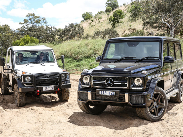 mercedes-benz g-professional pic #172149