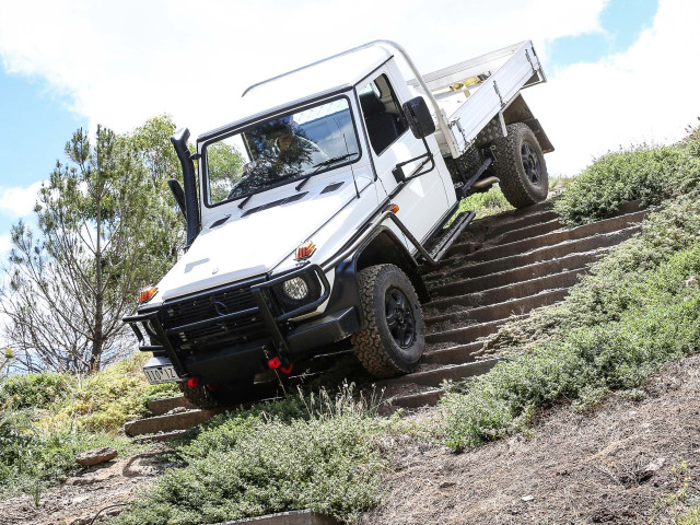 mercedes-benz g-professional pic #172150