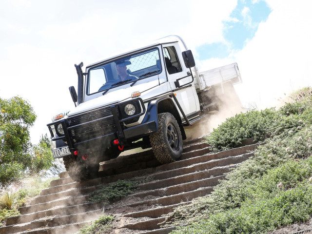 mercedes-benz g-professional pic #172151