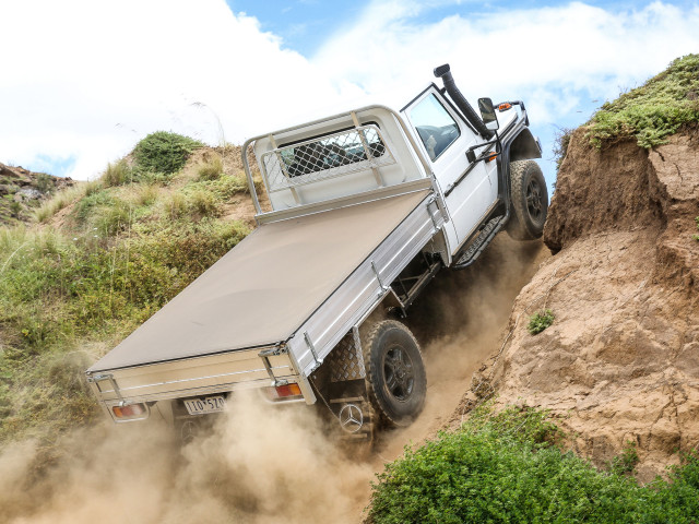 mercedes-benz g-professional pic #172152