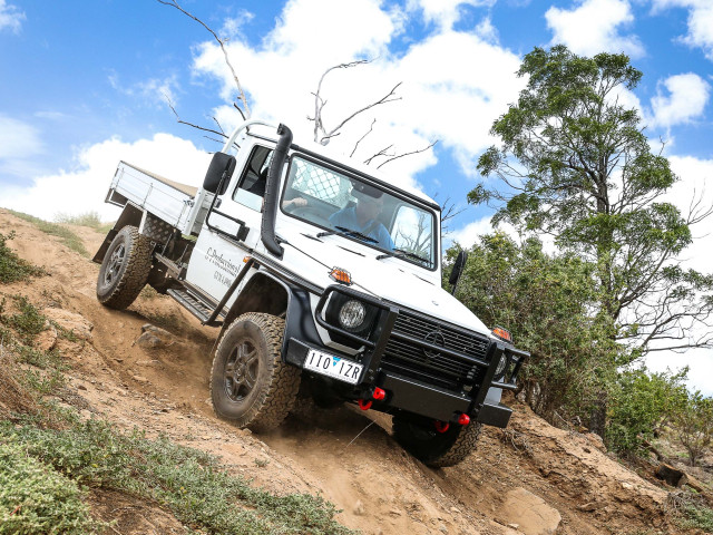 mercedes-benz g-professional pic #172153