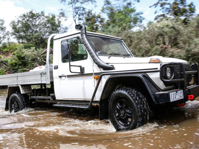 mercedes-benz g-professional pic #172158