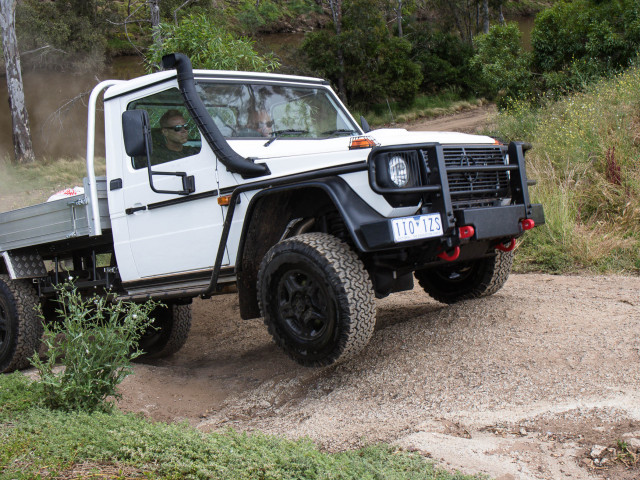 mercedes-benz g-professional pic #172163