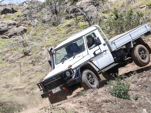 mercedes-benz g-professional pic #172164