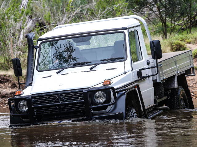 mercedes-benz g-professional pic #172167