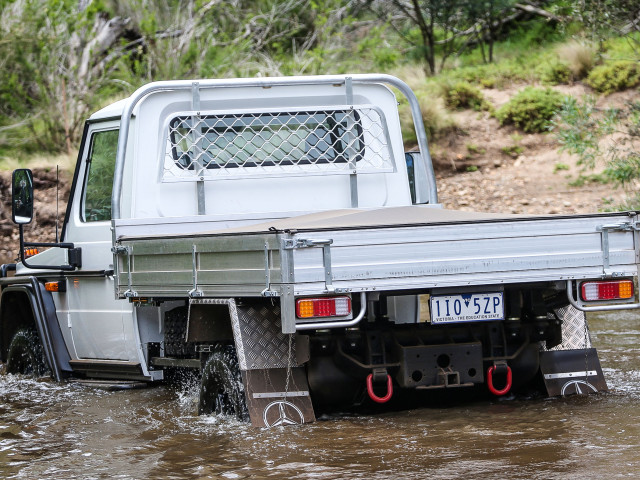 mercedes-benz g-professional pic #172168