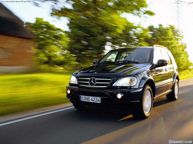 mercedes-benz ml amg pic #17255