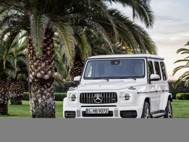 mercedes-benz g-class amg pic #186399