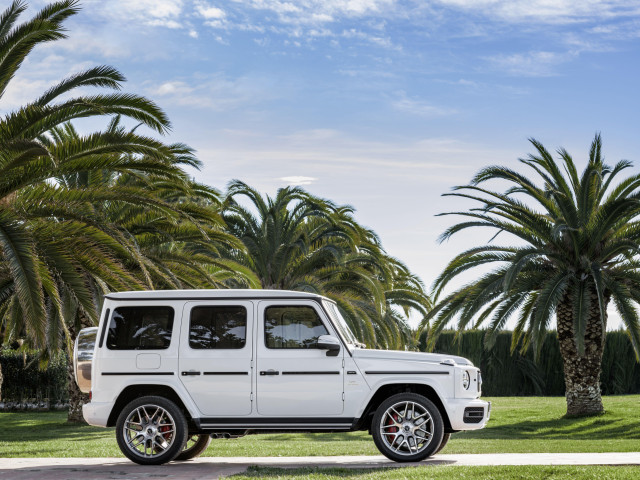 mercedes-benz g-class amg pic #186408