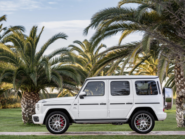 mercedes-benz g-class amg pic #186409