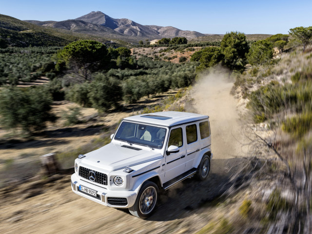 mercedes-benz g-class amg pic #186414