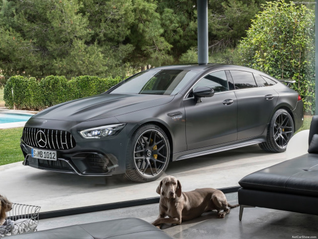 mercedes-benz amg gt 4-door pic #186957