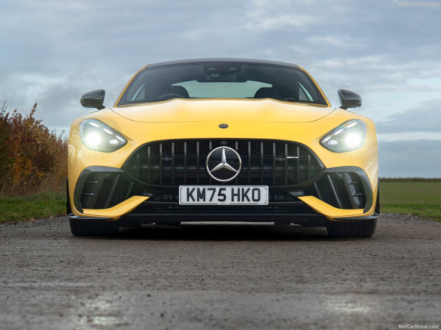 mercedes-benz amg gt pic #207416