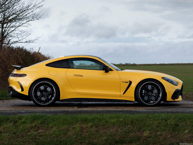 mercedes-benz amg gt pic #207420