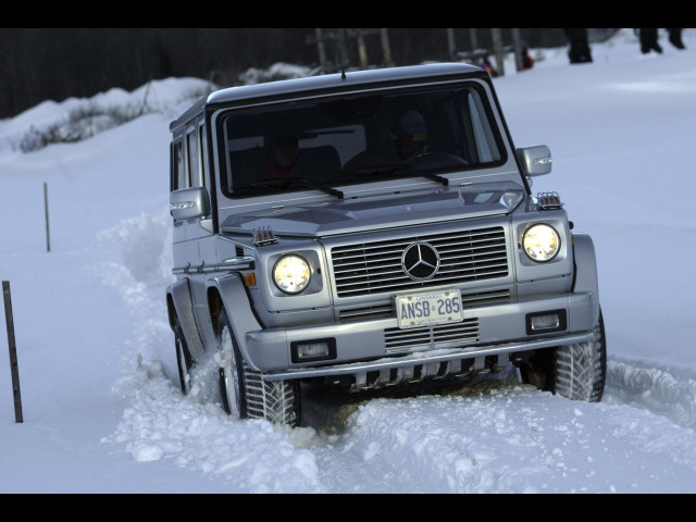 mercedes-benz g-class amg pic #22190