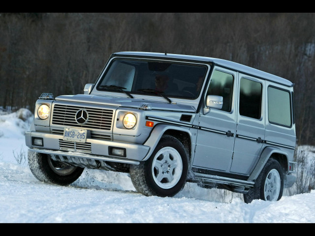 mercedes-benz g-class amg pic #22192