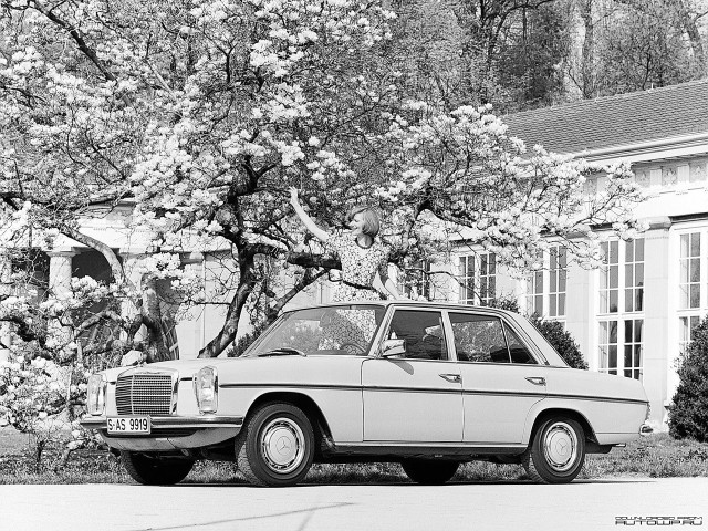 mercedes-benz e-class w114 w115 pic #61165