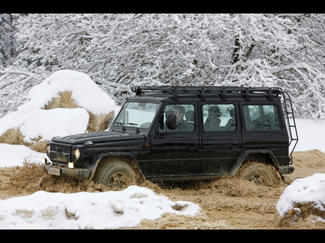 mercedes-benz g-class edition30 pic #61511