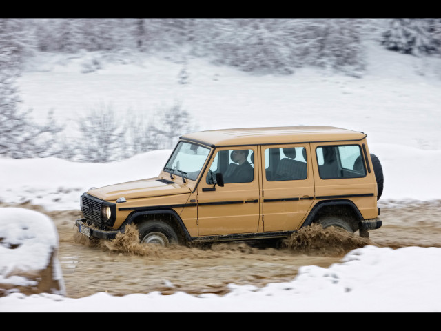 mercedes-benz g-class edition30 pic #61512