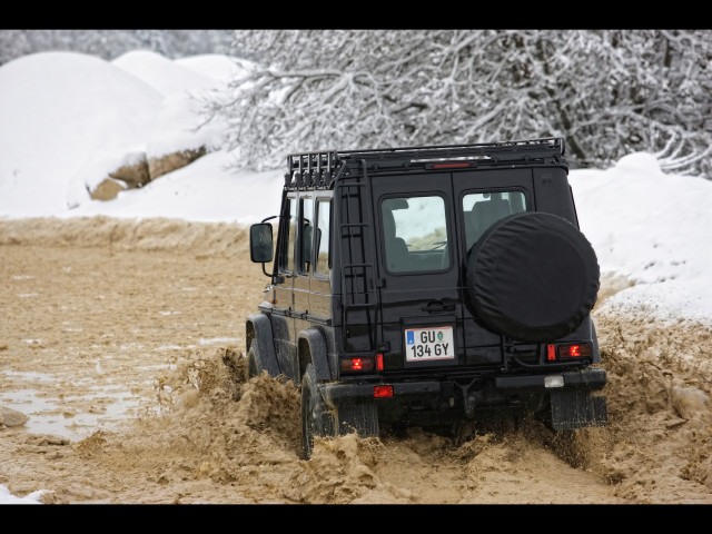 mercedes-benz g-class edition30 pic #61513