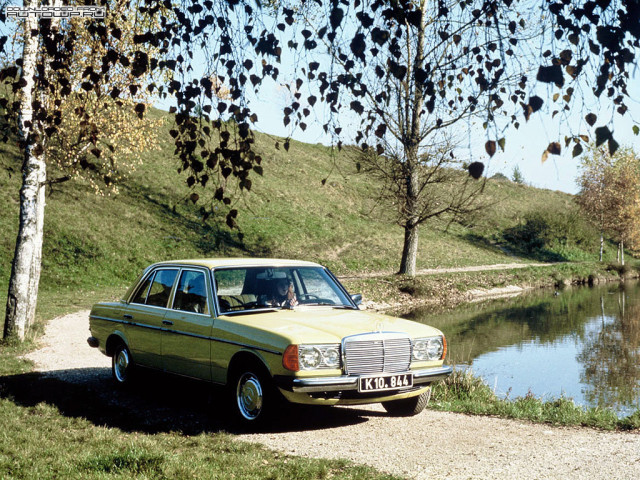 mercedes-benz e-class w123 pic #76619