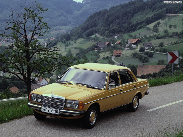 mercedes-benz e-class w123 pic #76625