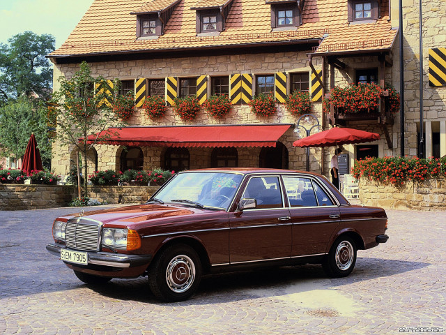 mercedes-benz e-class w123 pic #76629