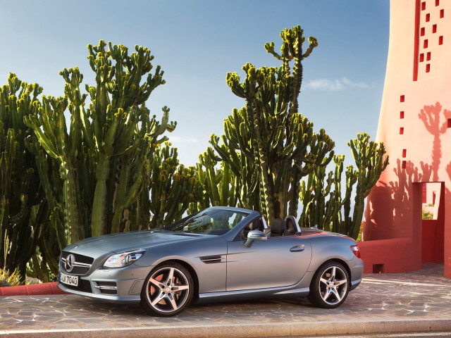 mercedes-benz slk pic #79594