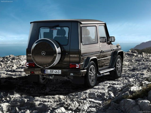 mercedes-benz g-class ba3 final edition pic #80496